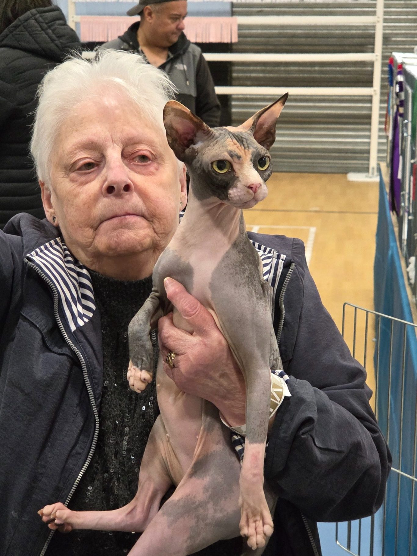 Meadowsphynx Celestial Dancer (Maia) at a Cat Show – RiviaSphynx Maia the Canadian Sphynx cat being held by a woman at a cat show