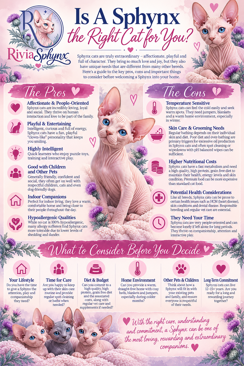 Is a Sphynx Cat Right for You? – RiviaSphynx nfographic explaining the pros and cons of owning a Sphynx cat, including their affectionate nature, grooming needs, temperature sensitivity